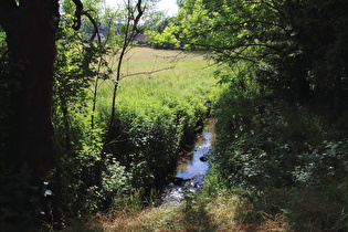 die Hamel östlich von Hamelspringe, Blick flussaufwärts …