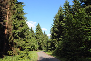 Süntelstraße, Blick bergab