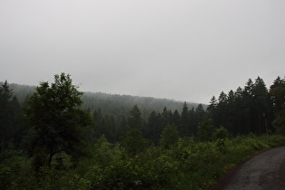 Anstieg von Barsinghausen, Blick nach Norden