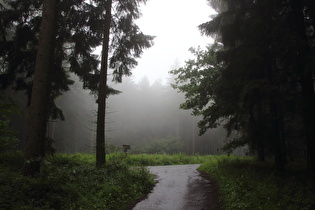 Anstieg von Barsinghausen, oberes Ende, Blick zum Kammweg