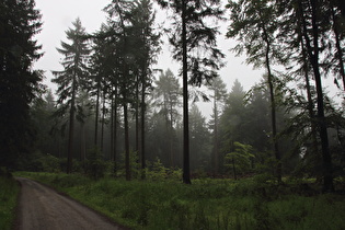 Kammweg, Blick nach Süden