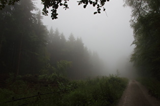 Kammweg, Blick Richtung Reinekensiekskopf