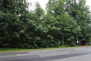 Blick vom Kammweg zum Nienstedter Pass