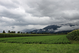 … Blick ins verregnete Rheintal talaufwärts, …