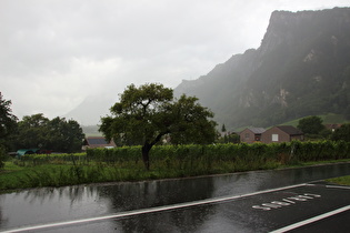 Starkregen in Fläsch, Blick zum Fläscher Berg