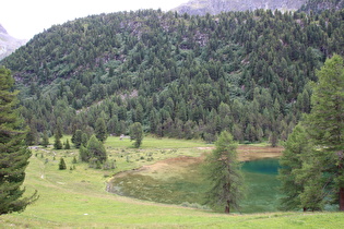 Mündung der Albula in den Palpuognasee