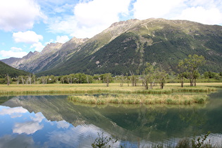 hygrische Baumgrenze im Lej da Gravatscha, montane Baumgrenze an den Bergen im Hintergrund