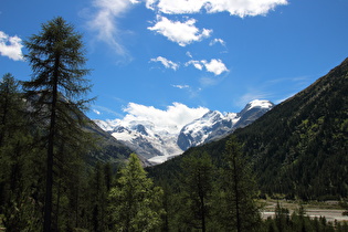 Berninagruppe und Morteratschgletscher