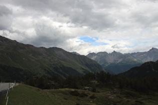 montane Baumgrenze an der Südrampe