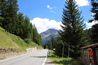 zwischen Sant'Antonio Valfurva und Santa Caterina Valfurva, Blick zum Sasso Cerena