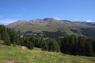 Blick über das Valfurva auf den Monte Confinale