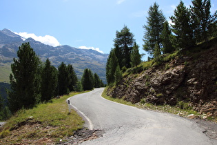 … und Blick ins Val di Gavia