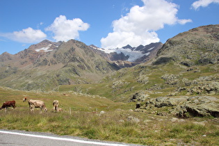 Blick zum Ghiacciaio di Dosegù, dahinter die Punta San Matteo