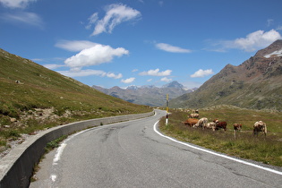 Blick bergab, am Horizont v. l. n. r.: Órtles, Monte Zebrù, Gran Zebrù und Punta Graglia