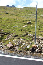 Blick über eine Bergwiese, darüber der Gipfelbereich des Monte Gavia