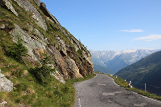 schlechter Zustand der Südrampe an der montanen Baumgrenze