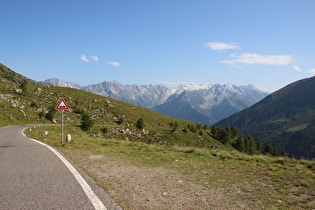 knapp unterhalb der montanen Baumgrenze, Blick zur  Gruppo dell'Adamello