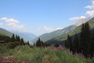 Blick von dort ins Val di Sole talabwärts