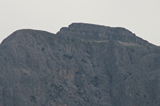 Zoom auf den Jungschlern und dahinter den Schlern