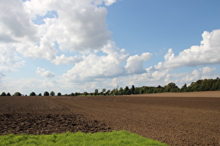 zwischen Hannover und Velber, Blick nach Westen