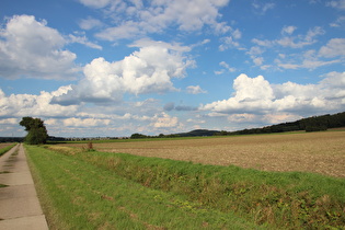 Gehrdener Berg, Westhang, Blick nach Norden zum Benther Berg, …