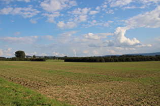 Stemmer Berg, Südhang, Blick nach Südosten …