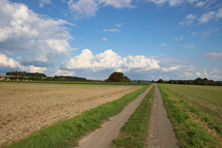 … und Blick nach Osten