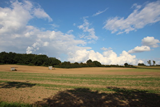 Stemmer Berg, Südwesthang