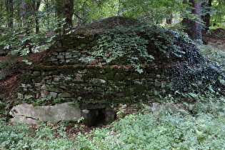 eine Hinterlassenschaft des Steinekohlebergbaus im Deister