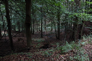 Blick ins Fuchsbachtal talabwärts