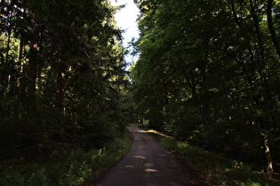 Steilstück zwischen Nienstedter Pass und Hohe Warte