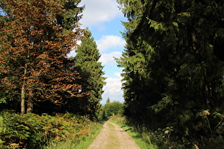 Hohe Warte, Blick nach Nordosten