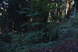 etwas weiter, Blick ins Fuchsbachtal