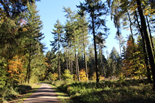 Kammweg, Blick nach Südosten