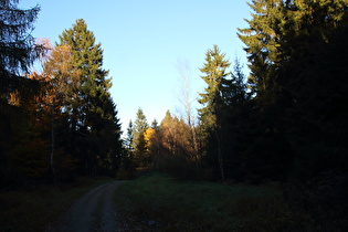 Deisterkamm bei den Hirschköpfen