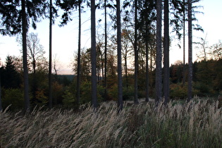 Blick vom Nordosthang des Deisters nach Nordosten