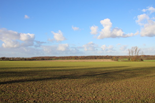 zwischen Velber und Lenthe, Blick nach Norden