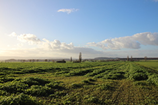 zwischen Lenthe und Northen, Blick zum Stemmer Berg