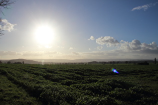 Northen, Südrand, Blick auf Gehrdener Berg und Deister …