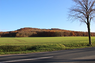 … und Blick auf den Benther Berg