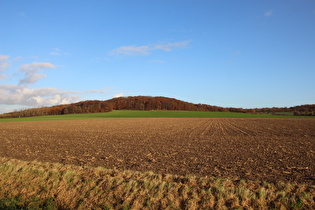 Gehrdener Berg, Westhang, Blick zum Burgberg …