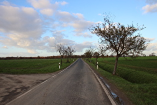 … und Blick nach Norden zum Großen Holz