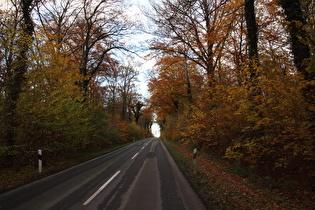 Herbst im Großen Holz