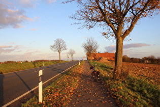 Kollrothshöhe, Westrampe, Blick nach Osten