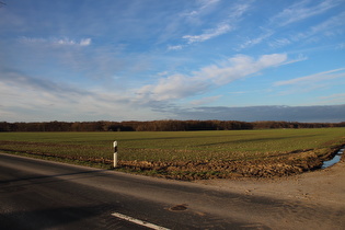 … und Blick zum Großen Holz