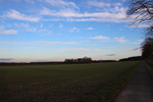 östlich von Lenthe, Blick nach Osten