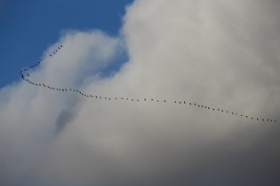 Flugverkehr zur falschen Zeit am falschen Ort