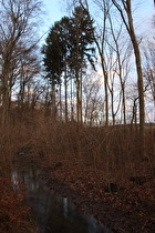 die Kirchwehrener Landwehr im Großen Holz, blick flussaufwärts …