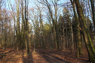 Kammweg, Blick nach Norden