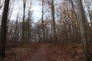 der zweite, steile Anstieg oberhalb von Benthe